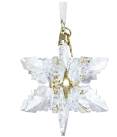 Cristalleria Swarovski Annual Edition in Cristallo 5674347 - 5674347